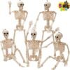 5 PCS Posable Halloween Skeleton Decor 16 Inches, Full Body Posable Joints Hanging Skeletons for Halloween Decorations, Graveyard Props, Haunted House Accessories, Spooky Scene Party Favors